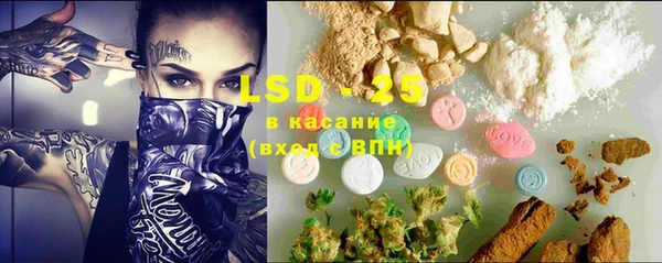 шишки Заводоуковск