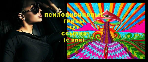 шишки Заводоуковск