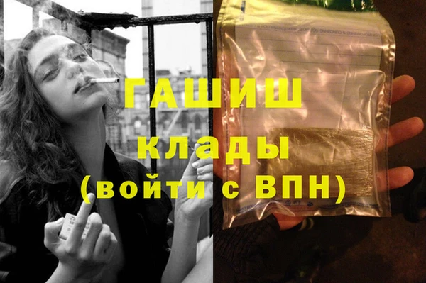 шишки Заводоуковск