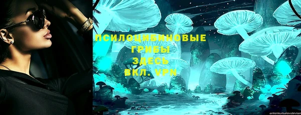 молекула духа Заволжье