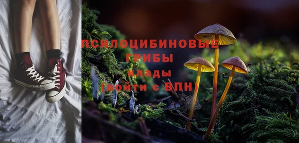 СК Тобольск