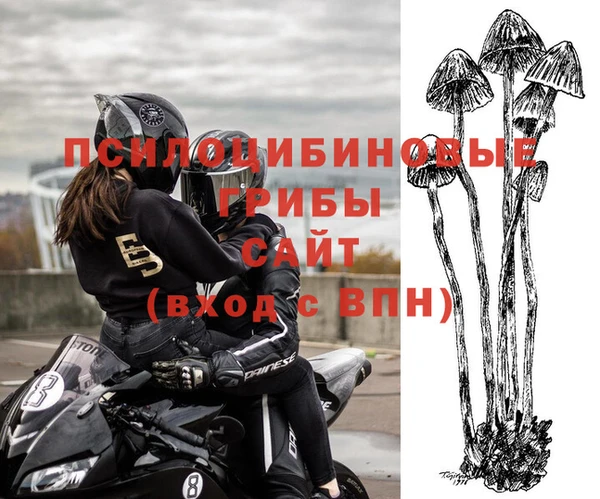 шишки Заводоуковск