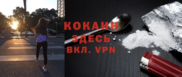 шишки Заводоуковск