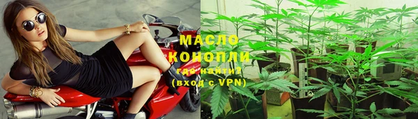 молекула духа Заволжье