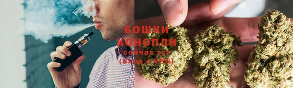 молекула духа Заволжье
