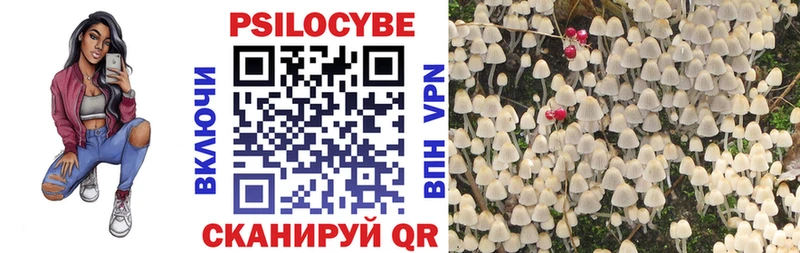Галлюциногенные грибы MAGIC MUSHROOMS  Калининск 